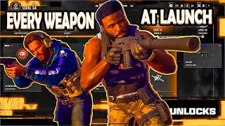 Call of Duty Black Ops 6 Every Weapon Unlock Guide amp More Black Ops 6 Zombies info [upl. by Valonia]