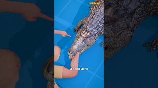 How To Escape An Alligator Death Roll😨shorts [upl. by Rad]