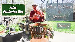 What To Plant In Spring Zone 7  Gardening For Beginners [upl. by Shandee]