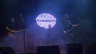 Peligrosos Gorriones full set 14122023 en The Roxy [upl. by Uahsoj128]