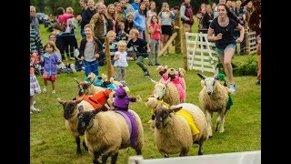 Sheep Racing at Frampton On Severn2017 [upl. by Ahsieyk]