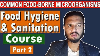 FoodBorne Microorganisms Viruses Bacteria Fungi Parasites  Food Hygiene amp Sanitation Pt 2 [upl. by Joub]