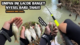 COBAIN UMPAN BARU LANGSUNG COCOK AMIS GOLD  Mancing wader dan melem teknik kumbul di banyak spot [upl. by Iru]