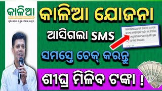 Kalia Yojana New Update 2024Kalia Yojana Next PaymentKalia Yojana Payment [upl. by Llertnac]