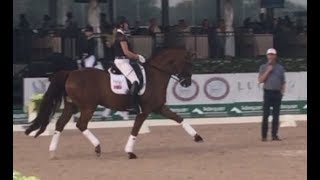 Carl Hester Masterclass Maximizing the Medium Trot in Dressage [upl. by Iramat88]