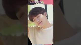 BTS 100 DICON PHOTO CARDS shorts btsmerch bts photocard [upl. by Adia]