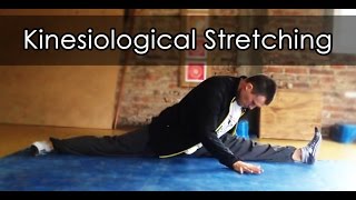 Kinesiological Stretching Techniques Demo  Stretching Gracilis for the Open Front Split [upl. by Bathsheba]