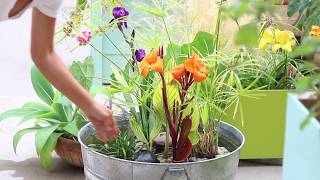 Easy and Beautiful DIY Solar Fountain in 1 Hour Patio pond Solar Bird Bath [upl. by Rama920]