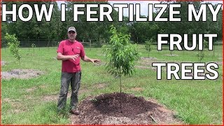 How and when to fertilizing fruit trees [upl. by Trueblood71]