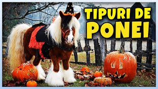 Reactionez la Tipuri de Ponei de Halloween 😂 [upl. by Ennovart]