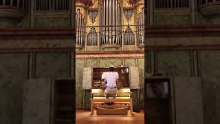 Musica de organo de iglesia  Orgelmusik  Pipe organ at medieval church [upl. by Lemcke]