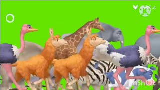 Reupload cenozoic animal stampede Green Screen [upl. by Ellehsar]