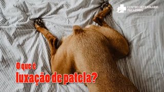 Luxação de patela em cães [upl. by Enilarac759]