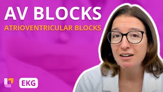 Atrioventricular Blocks AV Blocks  EKG Interpretation  LevelUpRN [upl. by Gentes]