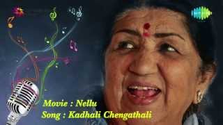 Kadhali Chengathali song  Nellu [upl. by Eiramrefinnej601]