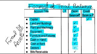 format of trial balancetrial balance format in Hindi and Englishtrial balance format [upl. by Anam509]