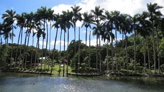 Visite du Parque Turístico Río Canímar Matanzas Cuba [upl. by Lodmilla686]