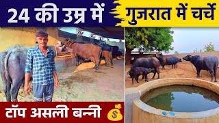 लाखों में 💰मांग है इन बन्नी भैंसो की20 लीटर दूध । Top Class Banni Buffalo in Banaskantha [upl. by Muldon]