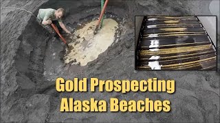 Alaska Beach Prospecting  LOTS of FINE Gold [upl. by Killarney]