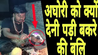 अघोरी को क्यों देनी पड़ी बकरे की बलि  aghori baba  shamshan kriya  vashikaran [upl. by Ilak]