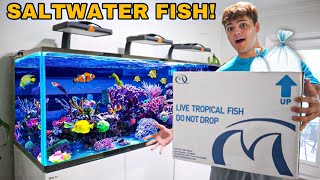 FINALLY BUYING FISH for My NEW 300G SALTWATER AQUARIUM [upl. by Job]