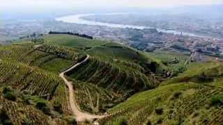 Discover The Wines of the Rhone Valley Part 1 of 3 [upl. by Vullo]