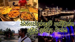 Singapore Travel Vlog 1 Nov 😍 සින්ගප්පූරුවේ නිදහසේ ඇවිදින්න යන්න කමතිද මේ වගේ🧡 Singapore Holiday [upl. by Akeihsal]