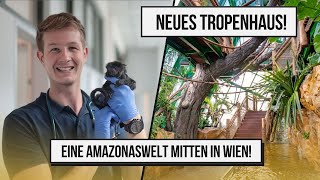 Süße ÄFFCHEN mitten in WIEN  Einblicke in unsere AMAZONASWELT [upl. by Knapp]