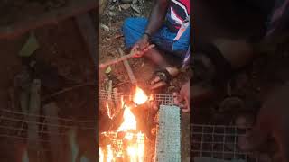 Grill chicken shorts grilledchicken friends travelwithajimon nagercoil marthandan fun love [upl. by Janine]