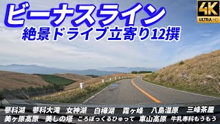 絶景ドライブ【ビーナスライン】おすすめ立寄りスポット12撰 車山高原 美ヶ原高原 霧ヶ峰 美しの塔 蓼科湖 蓼科大滝 女神湖 白樺湖 八島湿原 三峰茶屋 ころぼっくるひゅって 牛乳専科もうもう 4K [upl. by Onitselec]