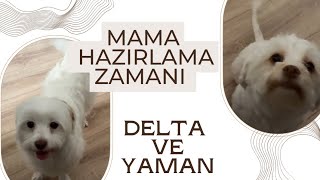 Mama hazırlama zamanı  Delta ve Yaman [upl. by Dewain]