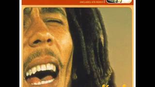 Bob Marley vs Funkstar De Luxe  Sun Is Shining Radio De Luxe Edit 1999 [upl. by Enyale]