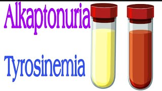 Alkaptonuria and Tyrosinemia  Biochemistry  Lecture 13 [upl. by Esimorp]