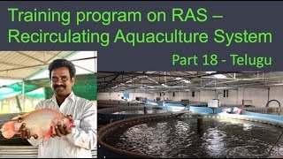 Details on training program on RAS  Recirculating Aquaculture System  Telugu  18 [upl. by Yecac]