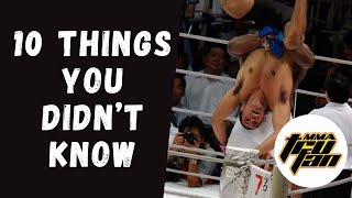 Minotauro Nogueira vs Bob Sapp 10 Things You Didnt Know [upl. by Gardas118]