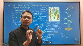 CEE 2081 MEMORY BASED QUESTIONS Part 12 UNIT DEVELOPMENTAL AND APPLIED BOTANY [upl. by Artinek]