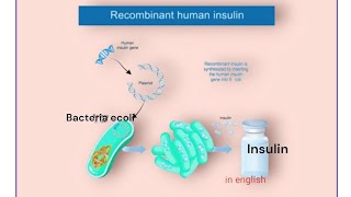 Recombinant InsulinBiotechnologyClass12NEETquick revision EasyBioshots [upl. by Wrennie]