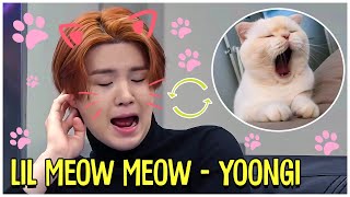 When Yoongi Turns Into Lil Meow Meow [upl. by Eirolav]