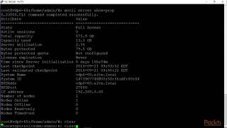 vSphere Data Protection Appliance Command Line Interface CLI [upl. by Suinotna25]