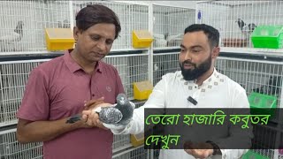 তেরো হাজারি কবুতর দেখুন ওস্তাদ সোহাগ ভাইয়ের লফ্টে। [upl. by Aisatana]