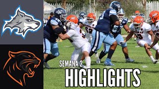 Lobos ULM vs Panteras US21 Highlights  Semana 2  Liga Mayor ONEFA 2024 [upl. by Marketa601]