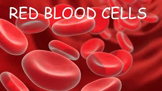 Red Blood Cells in 1 minute I adaptations [upl. by Latricia]