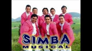 Simba Musical  Mate y Terere [upl. by Sik791]