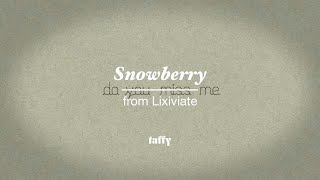 taffy  Snowberry Official Video [upl. by Doomham]