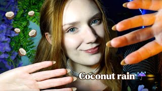 ASMR 🥥 Coconut Rain amp Chocolate Rain 🍫tktktk [upl. by Liebermann120]