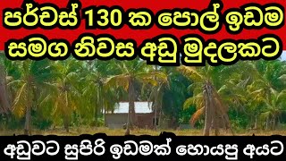 පර්චස් 130 ක පොල් ඉඩම හා නිවස අඩු මුදලකට  Pol idam  Coconut land  House for sale  Land for sale [upl. by Oznofla]