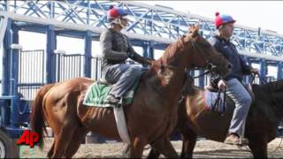 Derby Winner Picked As Favorite for Belmont [upl. by Elolcin]