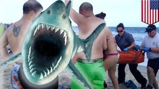 Séptima victima en menos de un mes por ataque de tiburón en playas de Carolina del Norte [upl. by Kari540]