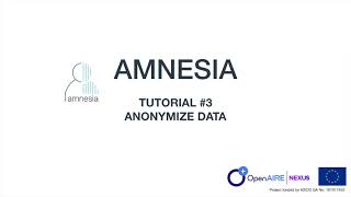 Amnesia Anonymization Tool tutorial Data Anonymization [upl. by Nosae230]