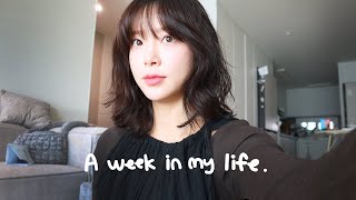 VLOG 일상 브이로그  크리스마스 준비  리스 클래스  겨울 꿀템  고추장찌개 동태찌개  드립백 병음료 만들기  올영세일 추천  혈당스파이크 맞은 날들 [upl. by Ellenrahs]